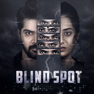 Blind-Spot 300 X 300